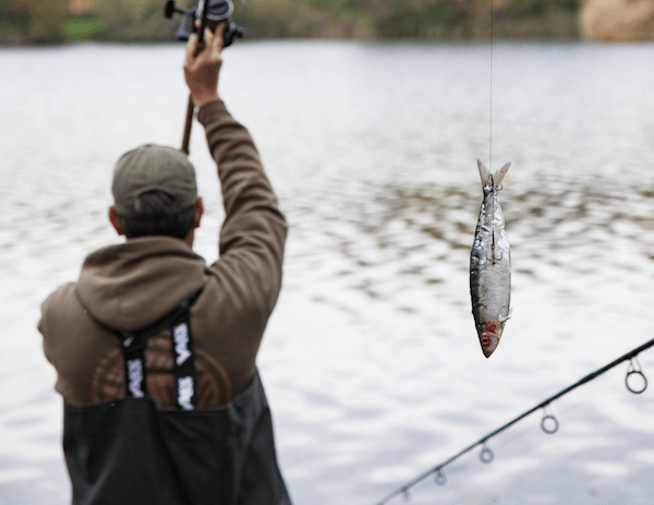 Angling Direct is listed on the London Stock Exchange.