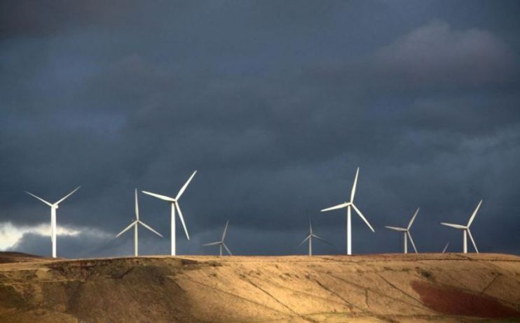 The Government is facing a legal challenge over its reliance on burning trees for green energy in its climate plans.