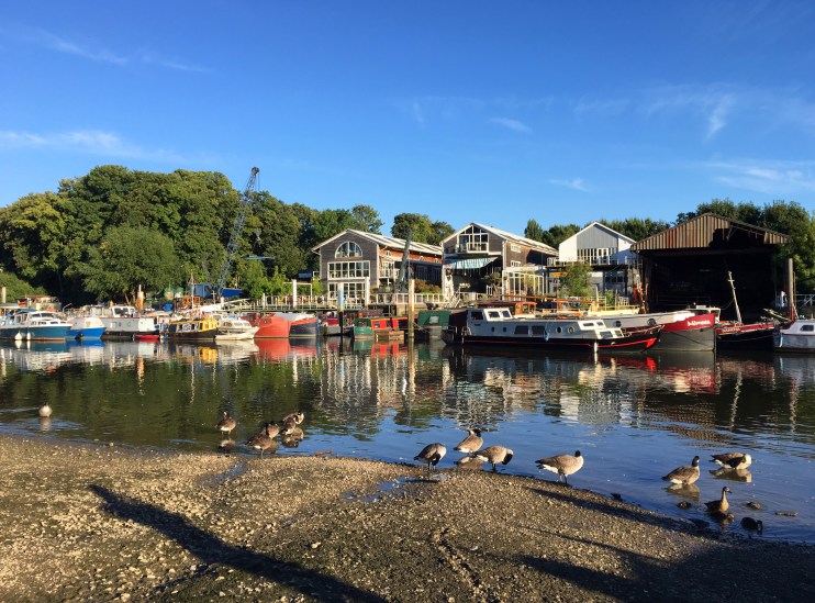 Eel Pie Island