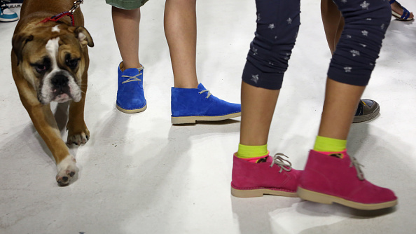 NEW YORK, NY - OCTOBER 19:  Models walk the runway during the Clarks preview at petitePARADE / Kids Fashion Week at Bathhouse Studios on October 19, 2014 in New York City.  (Photo by Monica Schipper/Getty Images for petitePARADE)