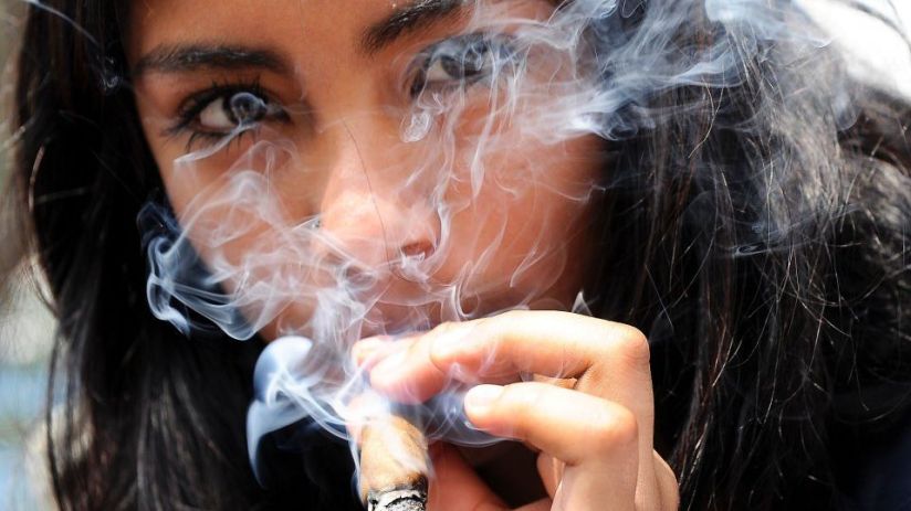 Cannabis
