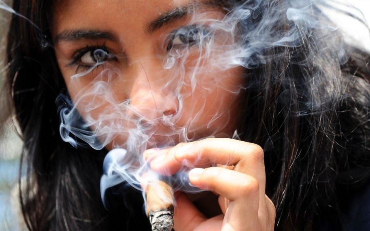 Cannabis