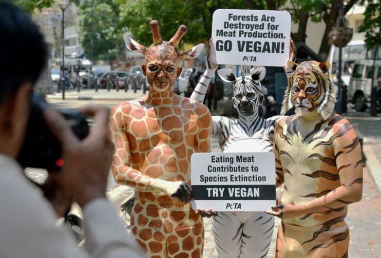 INDIA-ENVIRONMENT-ANIMALS