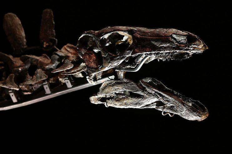 The agency model could be heading for extinction, according to some experts.