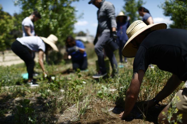 Earth Day Is Celebrated With Forest Therapy Walk And Planting