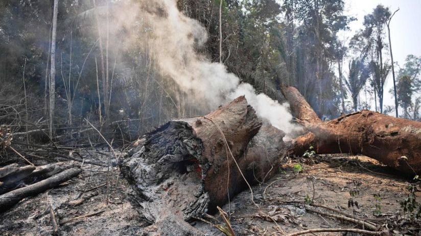 BRAZIL-FIRE-AMAZON-DEFORESTATION