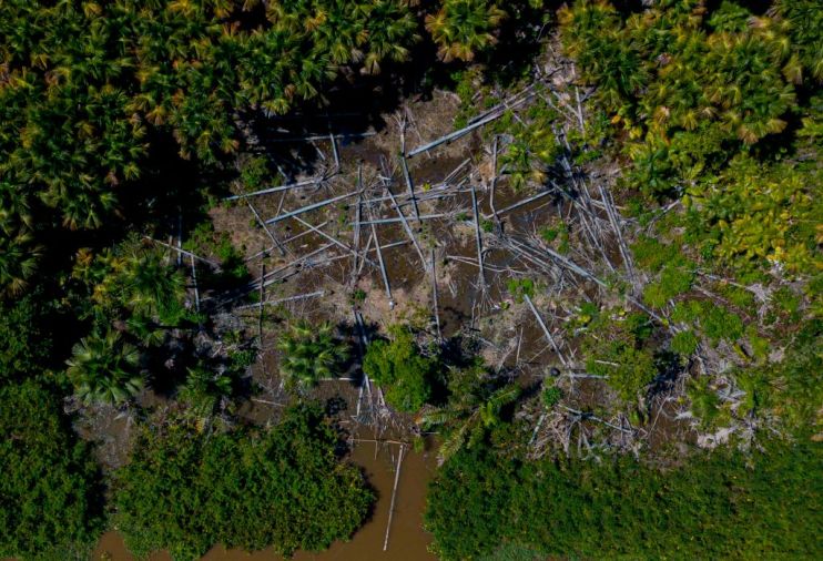 BRAZIL-ENVIRONMENT-DEFORESTATION-TIMBER