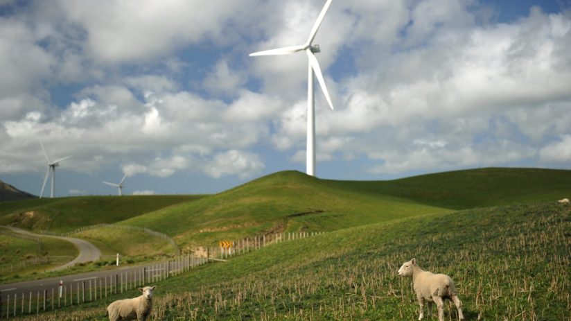 RUGBYU-WC2011-ENVIRONMENT-FEATURE