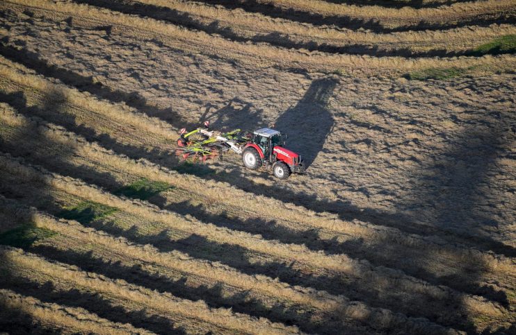 English farmers are set to see their EU-style subsidies cut in half over the next four years under the government’s post-Brexit transition plans.