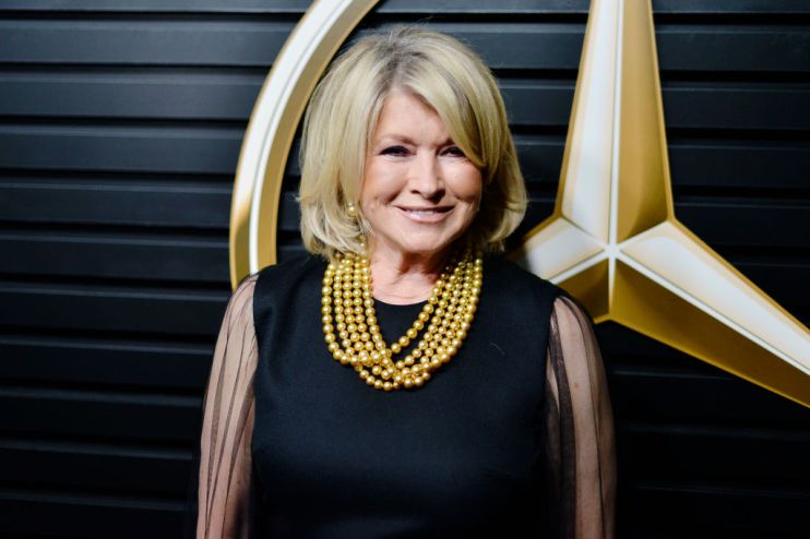 MARTHA-STEWART-CBD-OIL-PETS