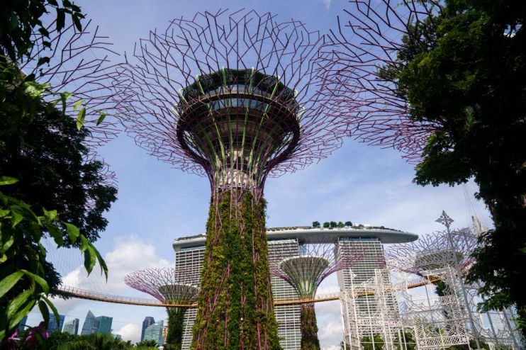 Travellers Checking In At Changi Airport As Hong Kong And Singapore Announce Travel Bubble