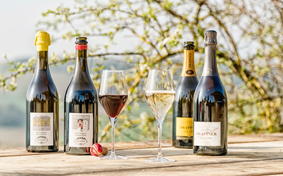 Still wine prodiuced in champagne