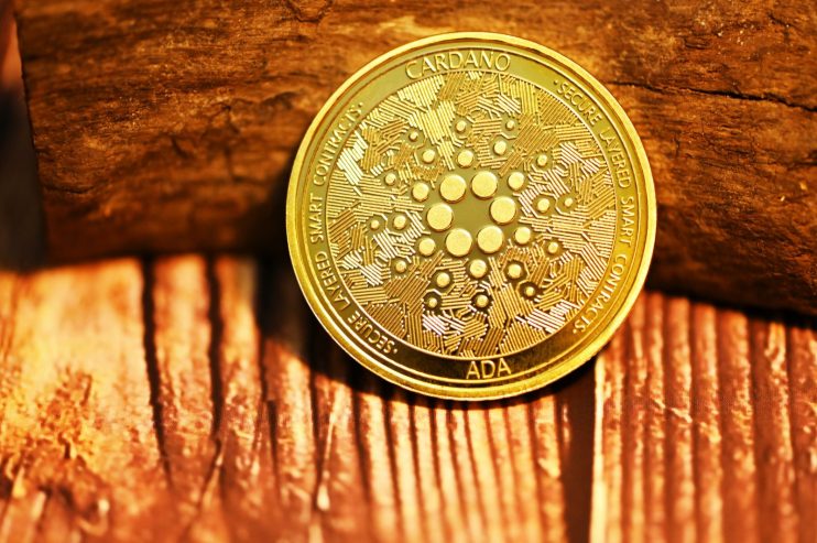 Cardano on wood