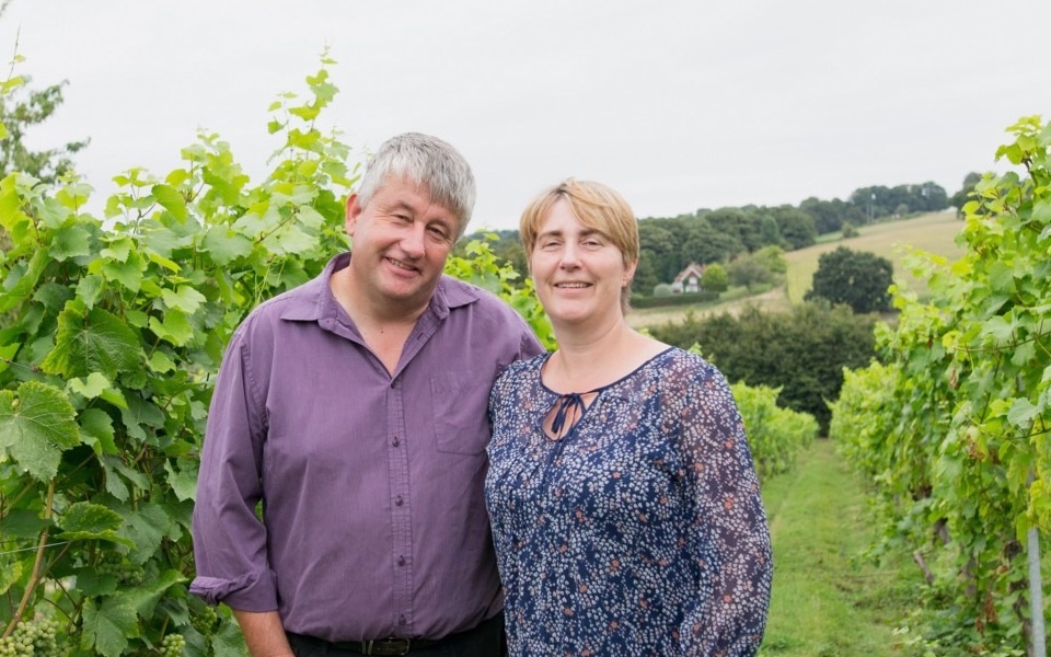 Paul and Lynn Langham who run the a'Beckett's vineyard in Wiltshire