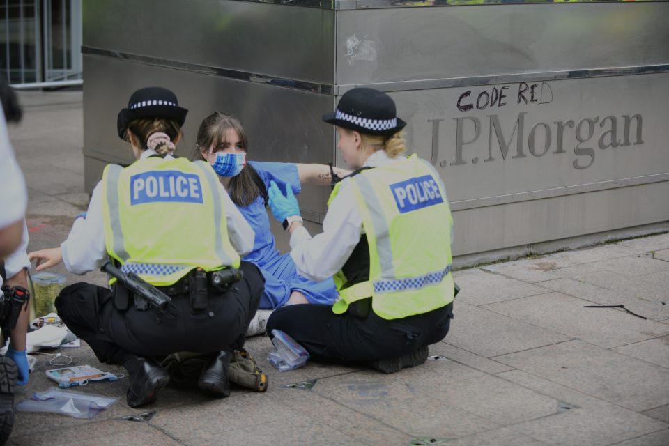 Police free XR doctor from plant pot