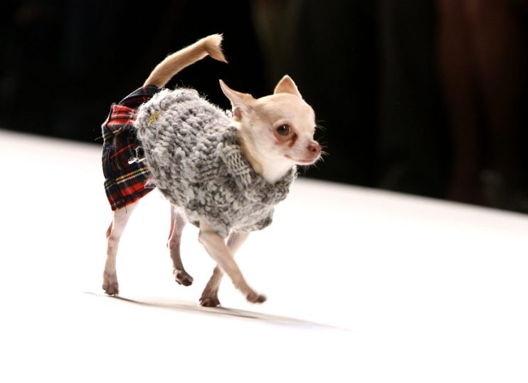 How to wear tartan