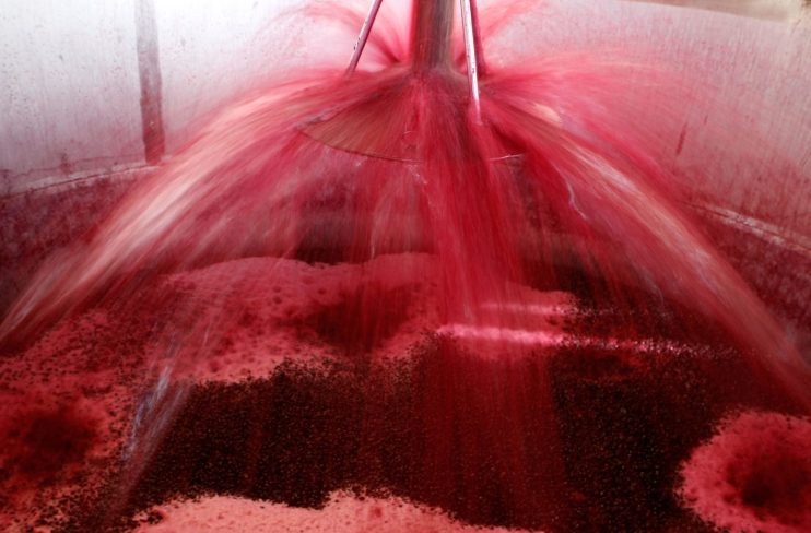 What does it take to becpome a Master of Wine