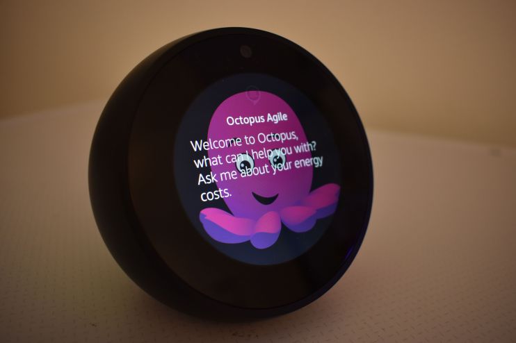octopus-energy