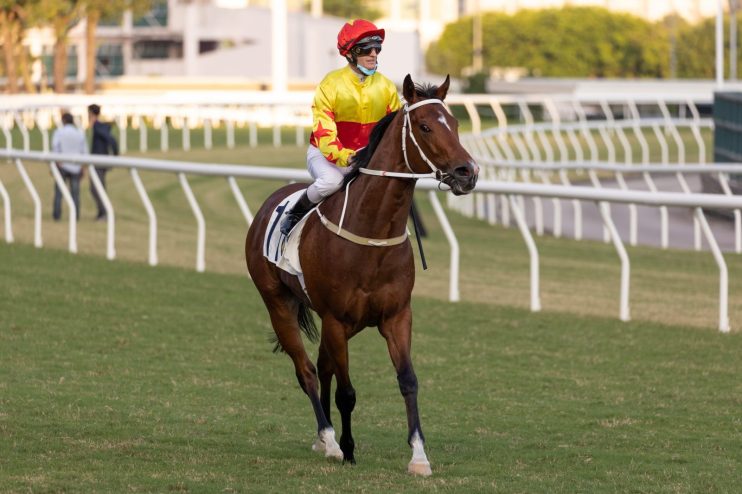 The 'Sell in May' phrase refers to the St Leger's Stakes, a horse race run in Doncaster and a four-day meet during the middle of September.