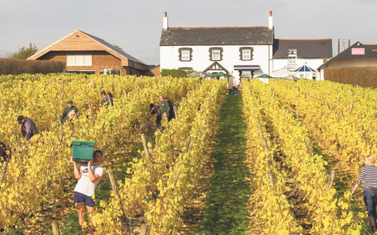 The wines to drink this Easter - even the ones that pair well with chocolate