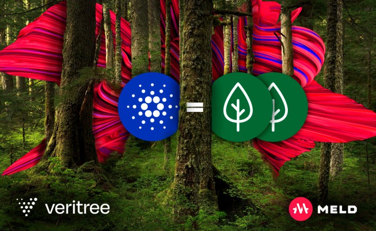 MELD - launched in July with enough success to have to create up to 10 stake pools to accommodate its entire ISPO - has teamed up with the Cardano Foundation to assist with its 'Global Impact Challenge'.