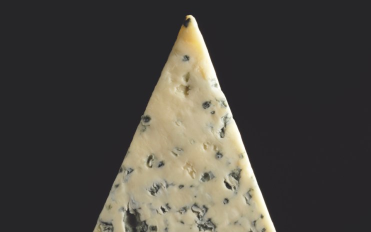 stilton, cheese