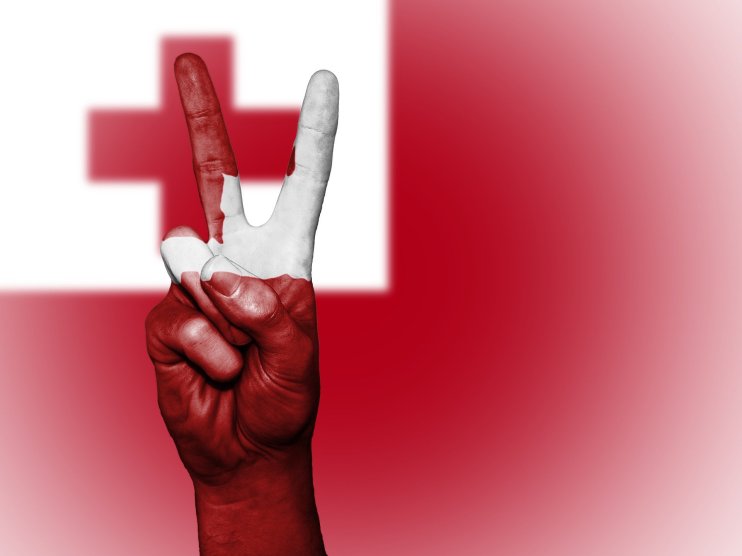 Tonga is gearing up to make Bitcoin legal tender, according to one of the Polynesian country’s former MPs.