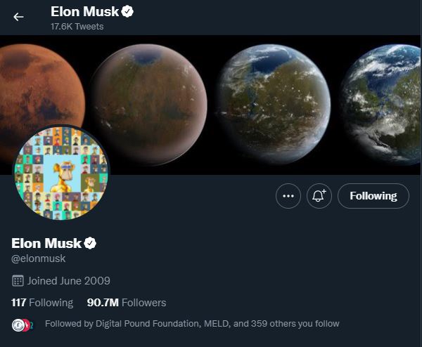 Elon Musk Twitter profile