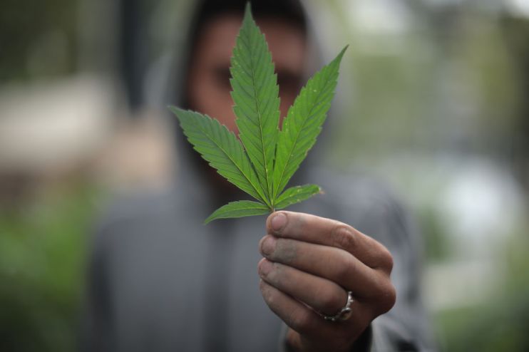 Mexico's Supreme Court Votes Decriminalization of Recreational Use of Cannabis