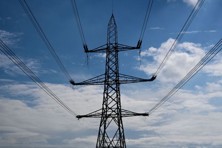 Expansion of the immediate availability of electricity will likely be a key election battleground this year