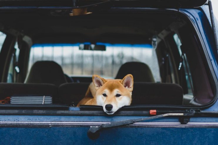 Weekend trading in the cryptocurrency markets has more-or-less flatlined, with only Doge breaking radio silence.