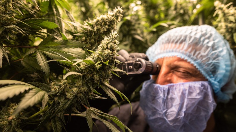 The last cannabis ETF in Europe shut down late last year.