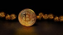 Bitcoin hit a new high in 2024