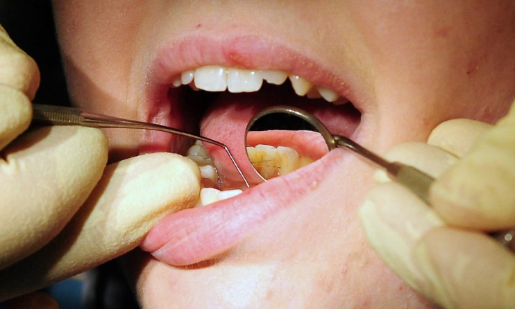 Bupa Dental Care