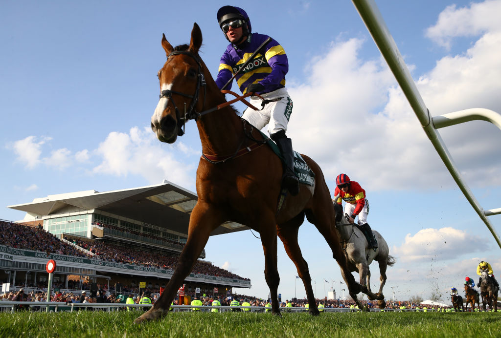 The British Horseracing Authority has “robustly condemned the reckless and potentially harmful actions” of the protestors who disrupted the Grand National.