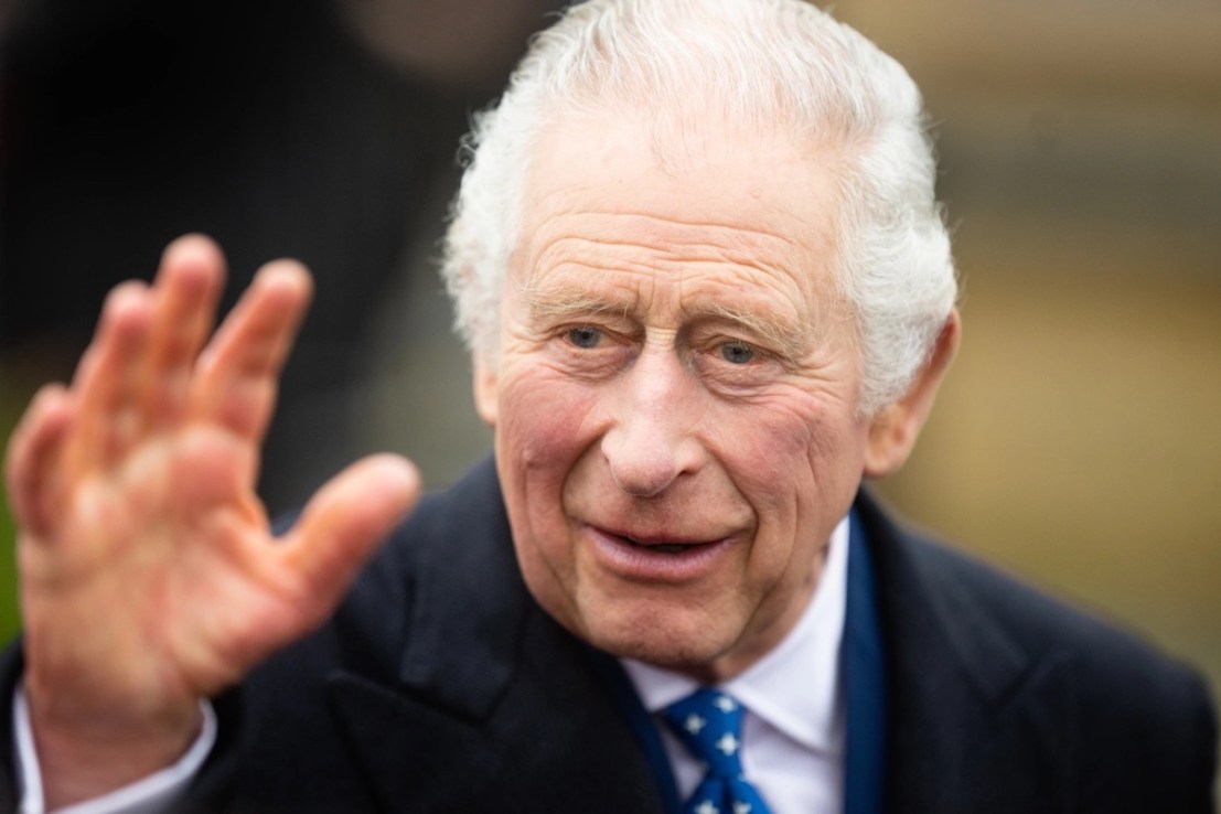 King Charles III (Photo by Samir Hussein/WireImage)