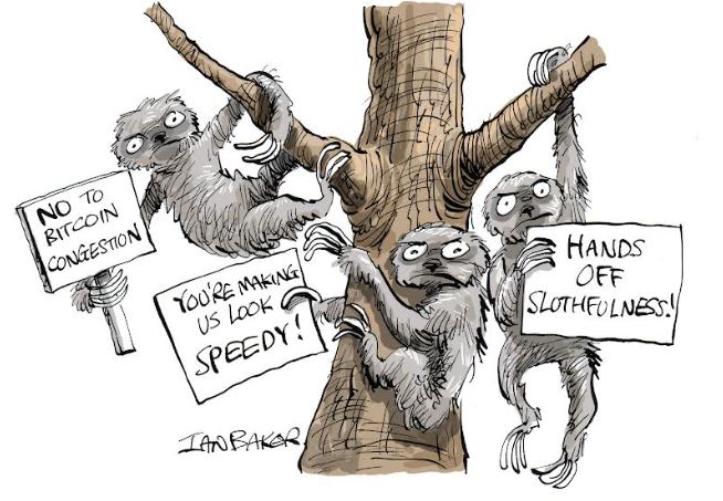The Planet Crypto team have been tuning into nature where some of the more indolent members of the animal kingdom are up in arms over the Bitcoin network.