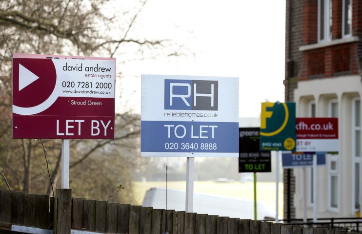 Rental market
