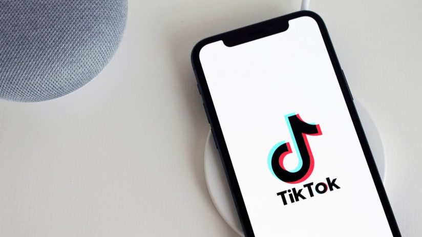 Tiktok appeals to overturn US ban in a broader battle for tech regulation