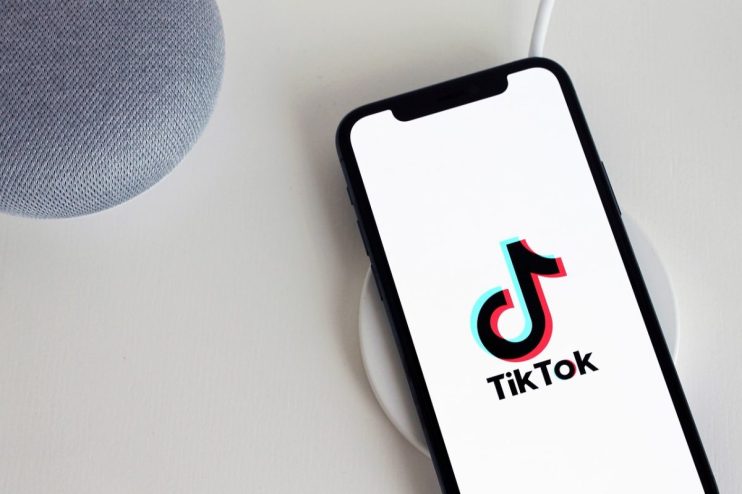 Tiktok appeals to overturn US ban in a broader battle for tech regulation
