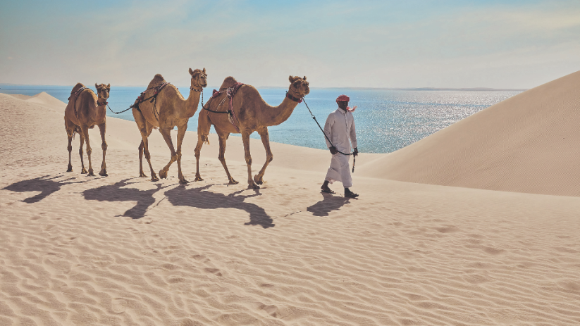 Qatar has an inland sea surrounded by sand dunes, the only type of its kind in the world