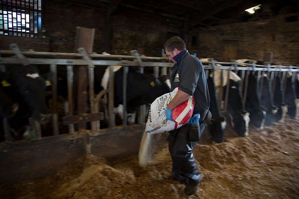 Life On A Dairy Farm The Closed Herd