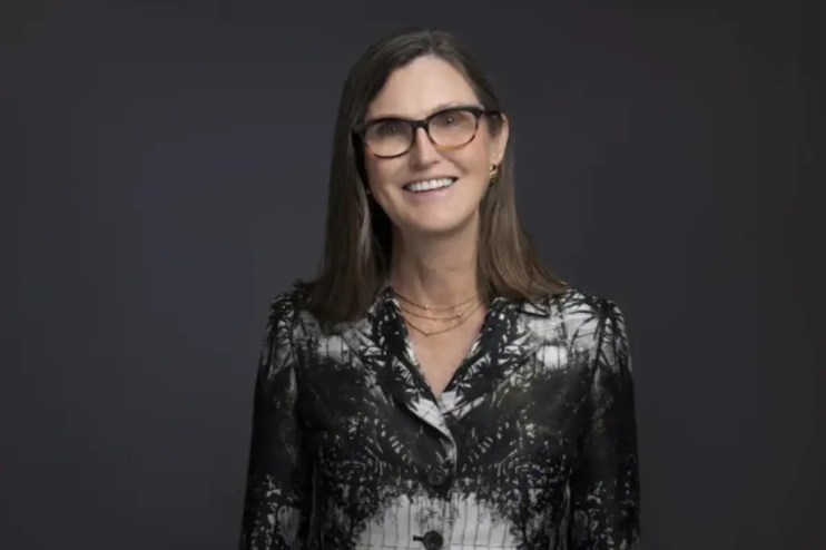 Tech investor Cathie Wood has warned that the fenzy around artificial intelligence that has boosted US tech stocks could leave investors scorched.
