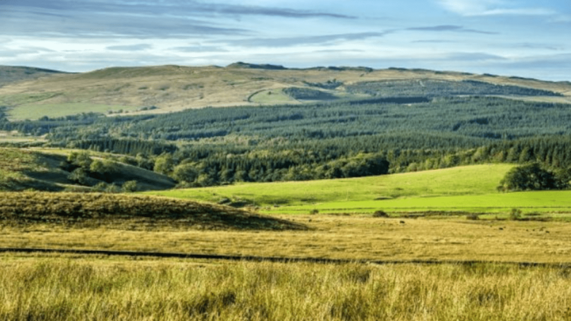Helen Avery, GFI director of nature programmes, said: “The erosion of natural capital generates significant and long-term risks to society, our economy and, therefore to financial institutions and potentially our financial resilience."