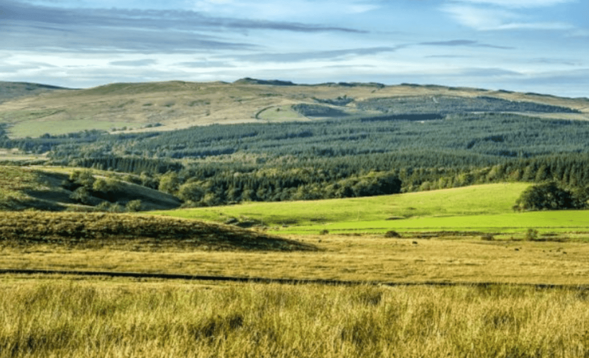 Helen Avery, GFI director of nature programmes, said: “The erosion of natural capital generates significant and long-term risks to society, our economy and, therefore to financial institutions and potentially our financial resilience."