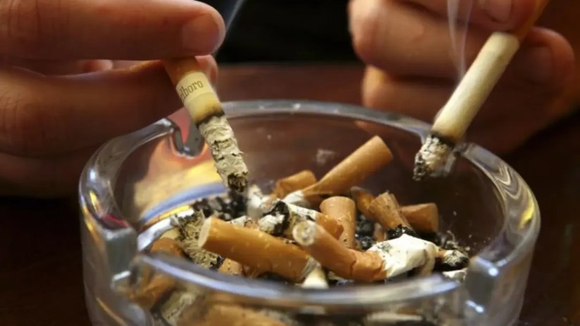 British American Tobacco's stock price hit a two-year high at the end of last month.