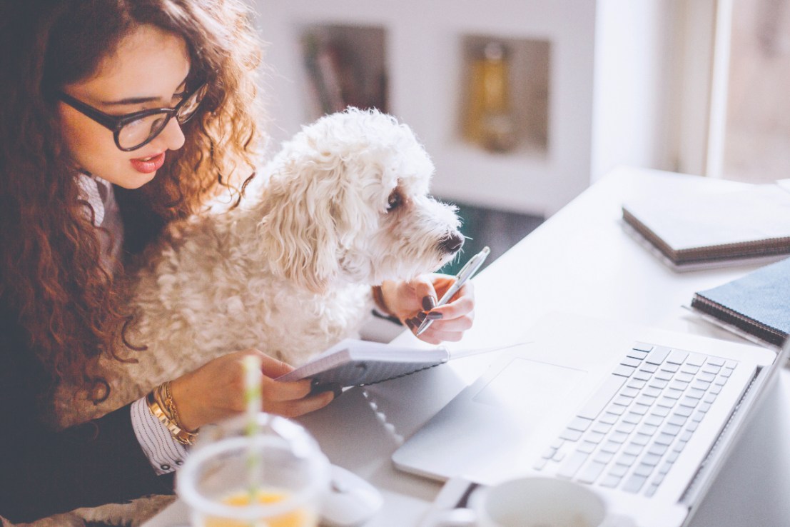 Civil servants have resisted calls to return to the office 