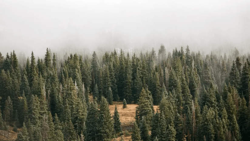 Impax Environmental Market's share price has fallen further since the midpoint of the year.