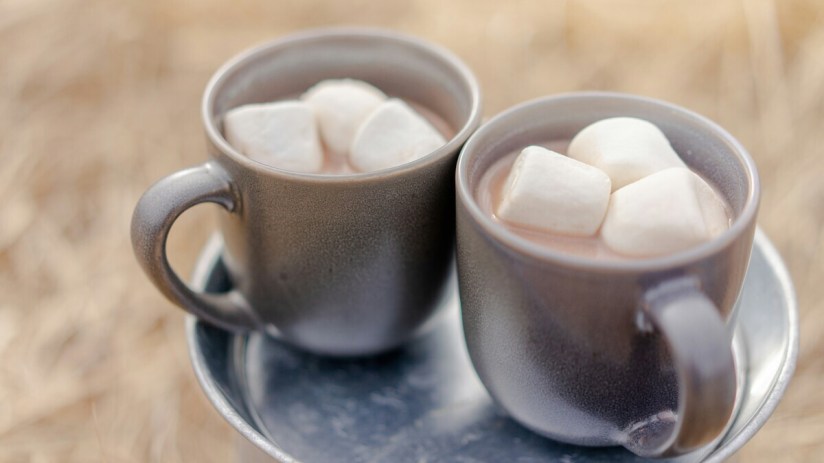 After losing twice in the long-running ‘mega marshmallows' tax case, HMRC has said it is looking to file yet another appeal.
