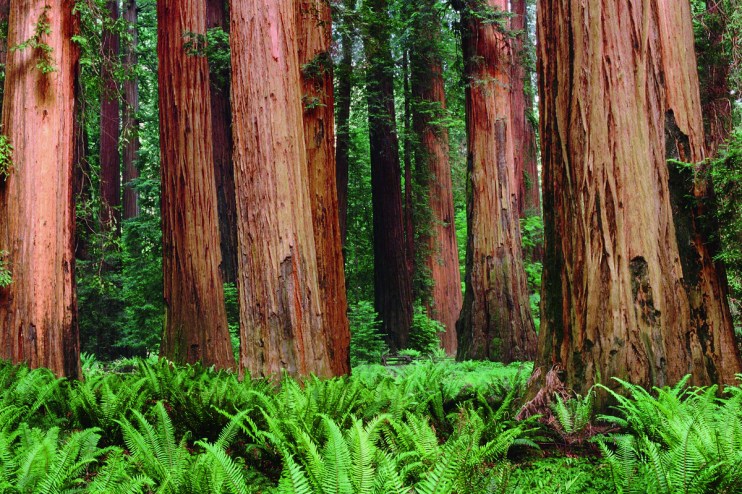 Accsys's has been hit by a sluggish construction market